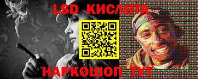 прущие грибы Краснокаменск