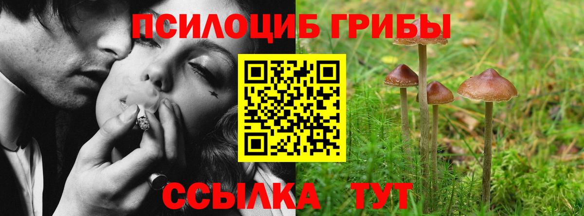 Псилоцибиновые грибы мицелий Карачаевск