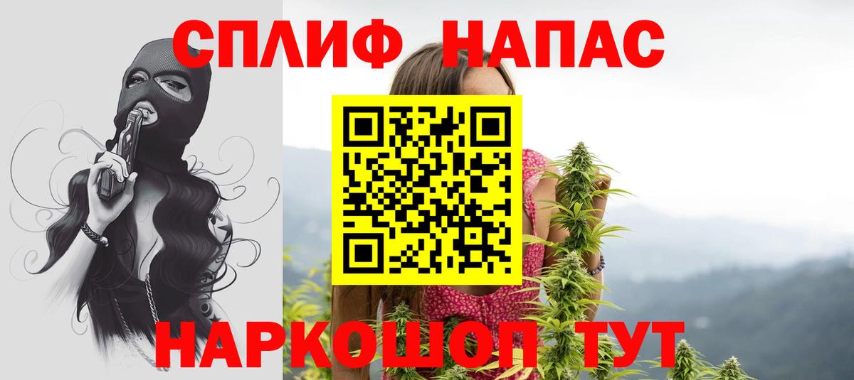 Каннабис планчик Карачаевск